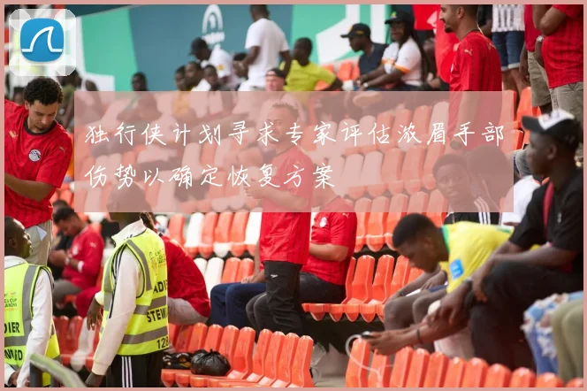 独行侠计划寻求专家评估浓眉手部伤势以确定恢复方案