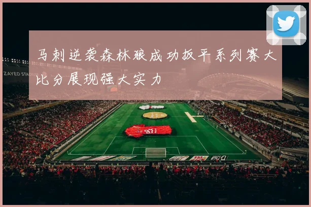 马刺逆袭森林狼成功扳平系列赛大比分展现强大实力